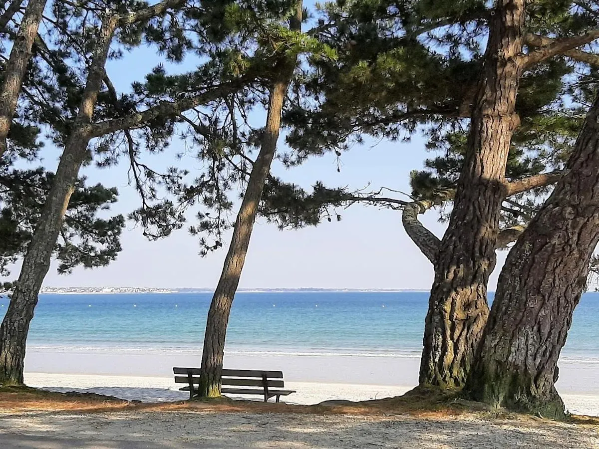 A07- Apt Pmr 4 A 5 Pers, Sea View, Beach, Pool Fouesnant